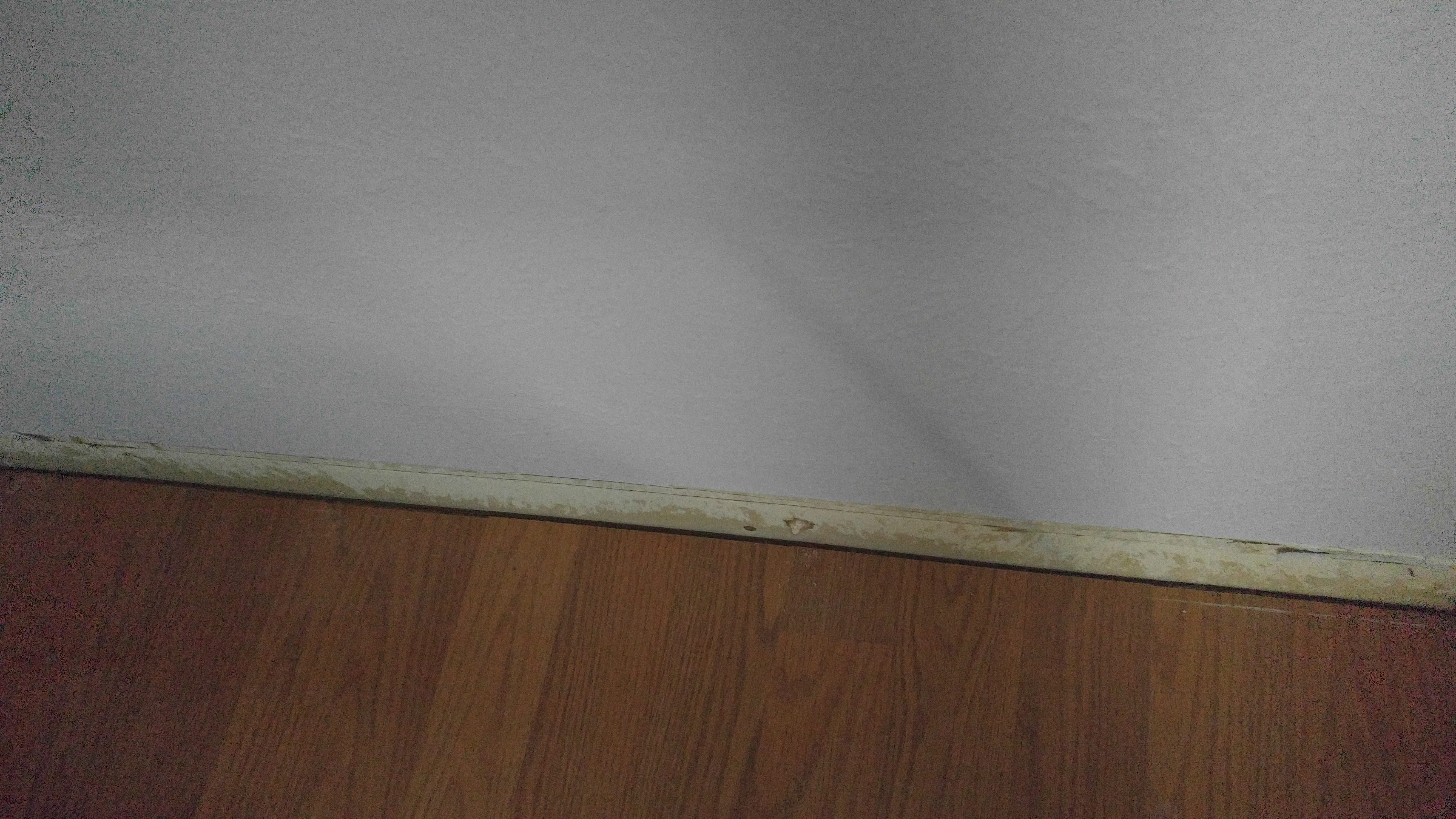 empire carpet reviews view both images empire carpet empire carpet reviews view both images empire carpet