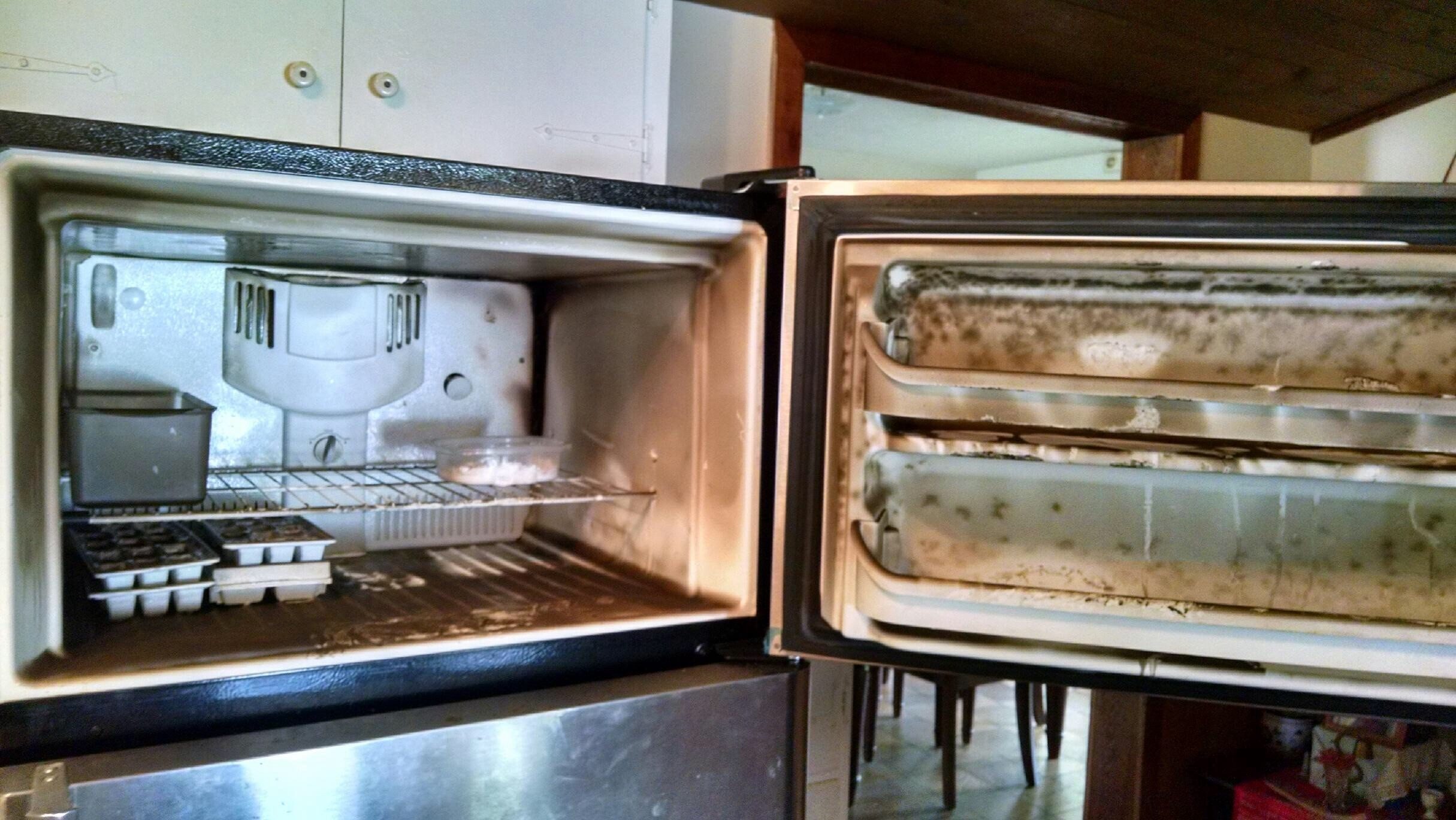 Top 743 Complaints and Reviews about Frigidaire Refrigerators Page 7