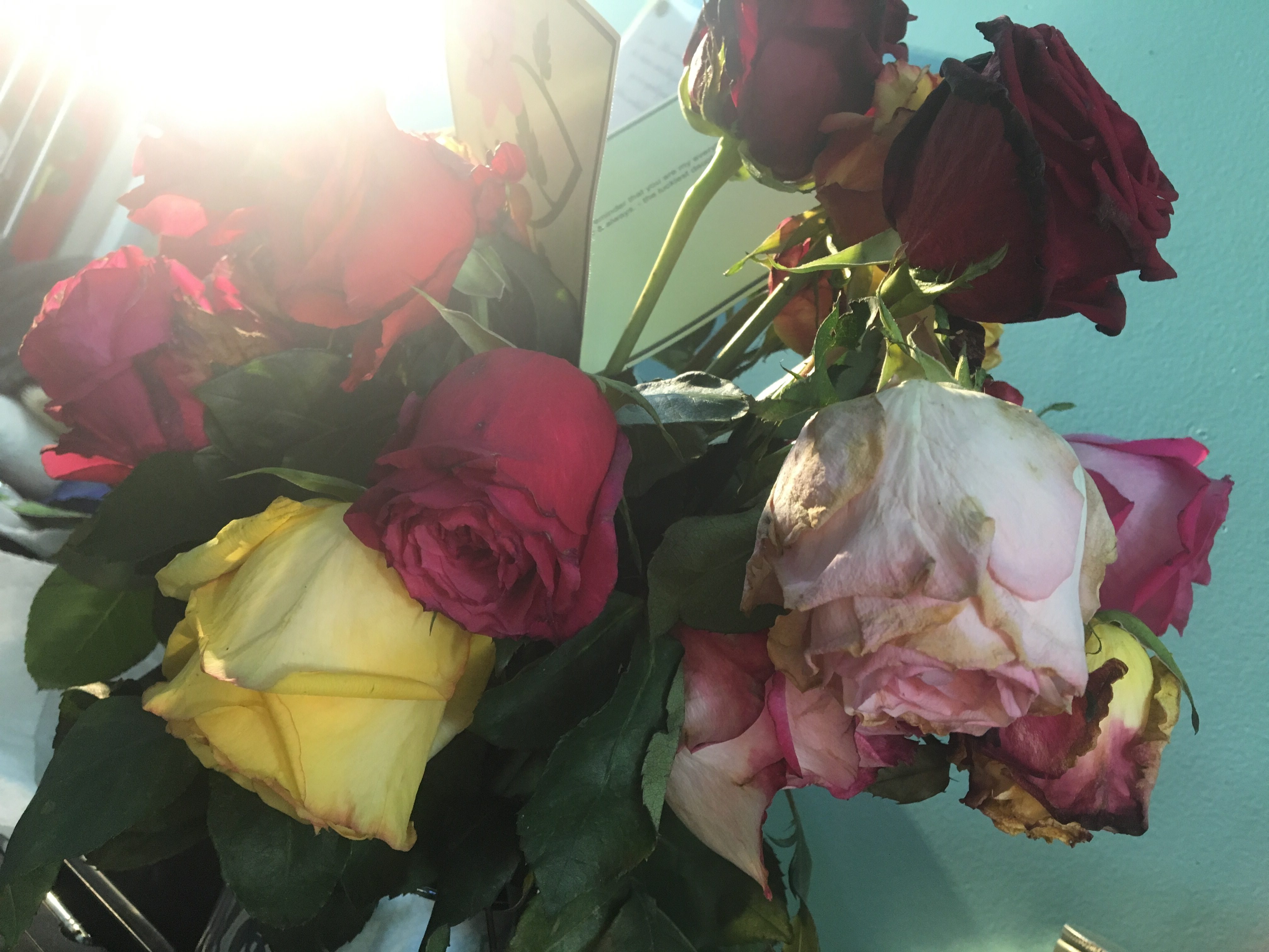 Review 2016 ConsumerAffairs