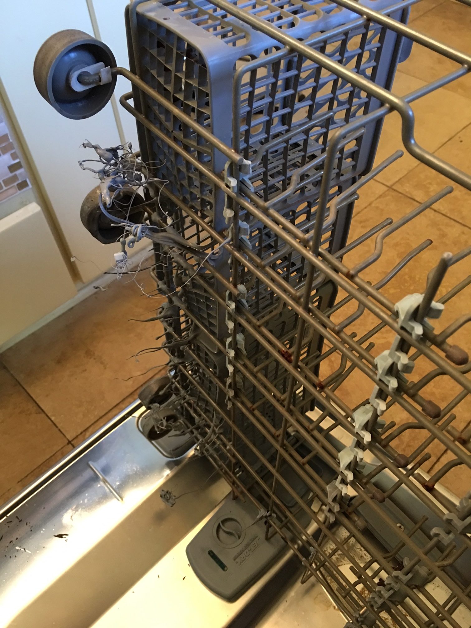 Top 483 Reviews and Complaints about GE Dishwashers Page 2