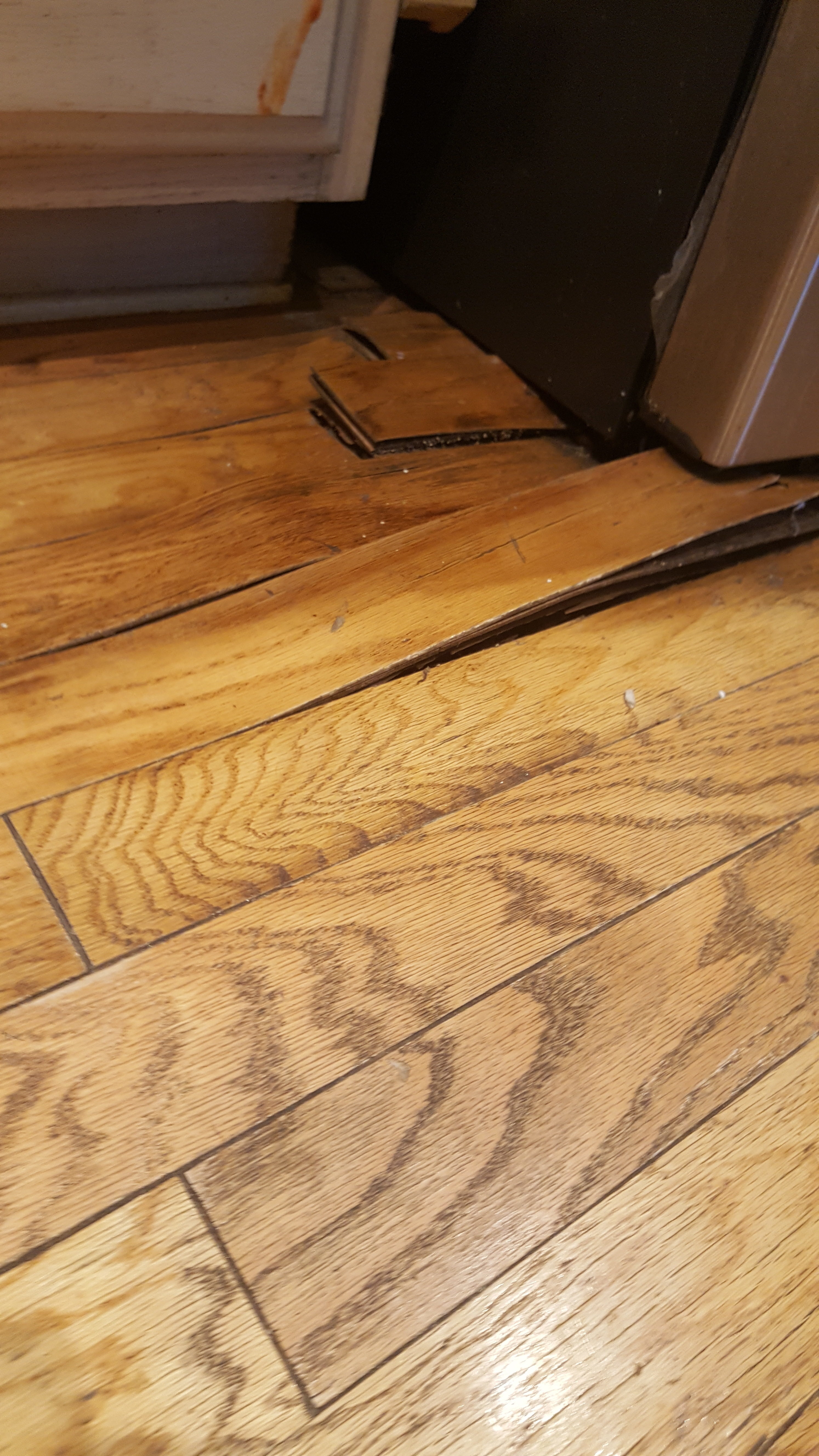 Top 1,470 Complaints and Reviews about GE Refrigerators Page 2