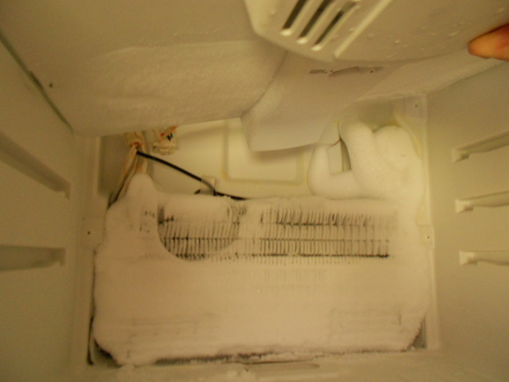 Top 116 Complaints and Reviews about Haier Refrigerators Page 2