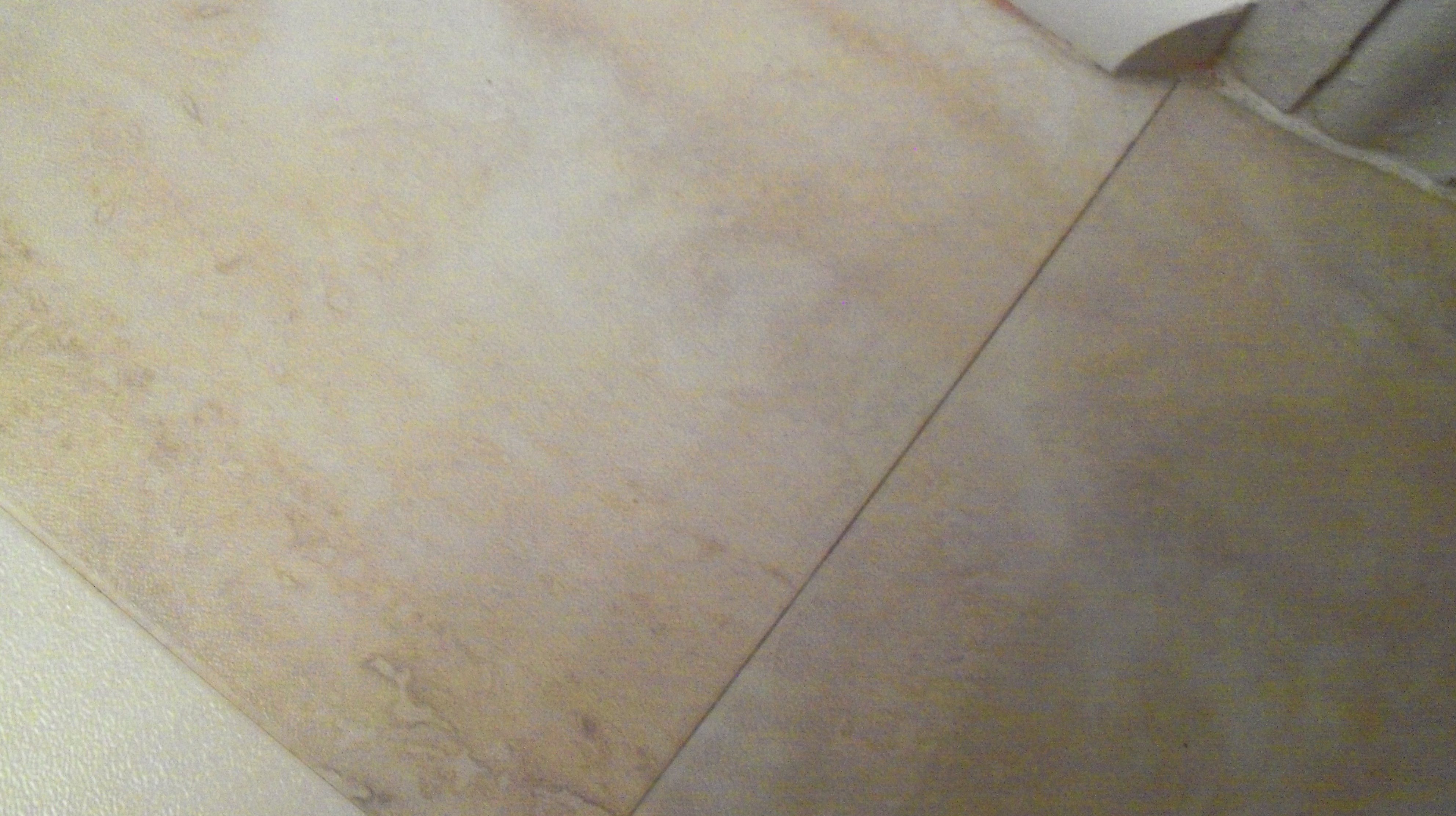 home depot flooring winnipeg 28 images duraceramic tile and dura ceramic vinyl tile mikes home depot flooring winnipeg 28 images duraceramic tile and dura ceramic vinyl tile mikes