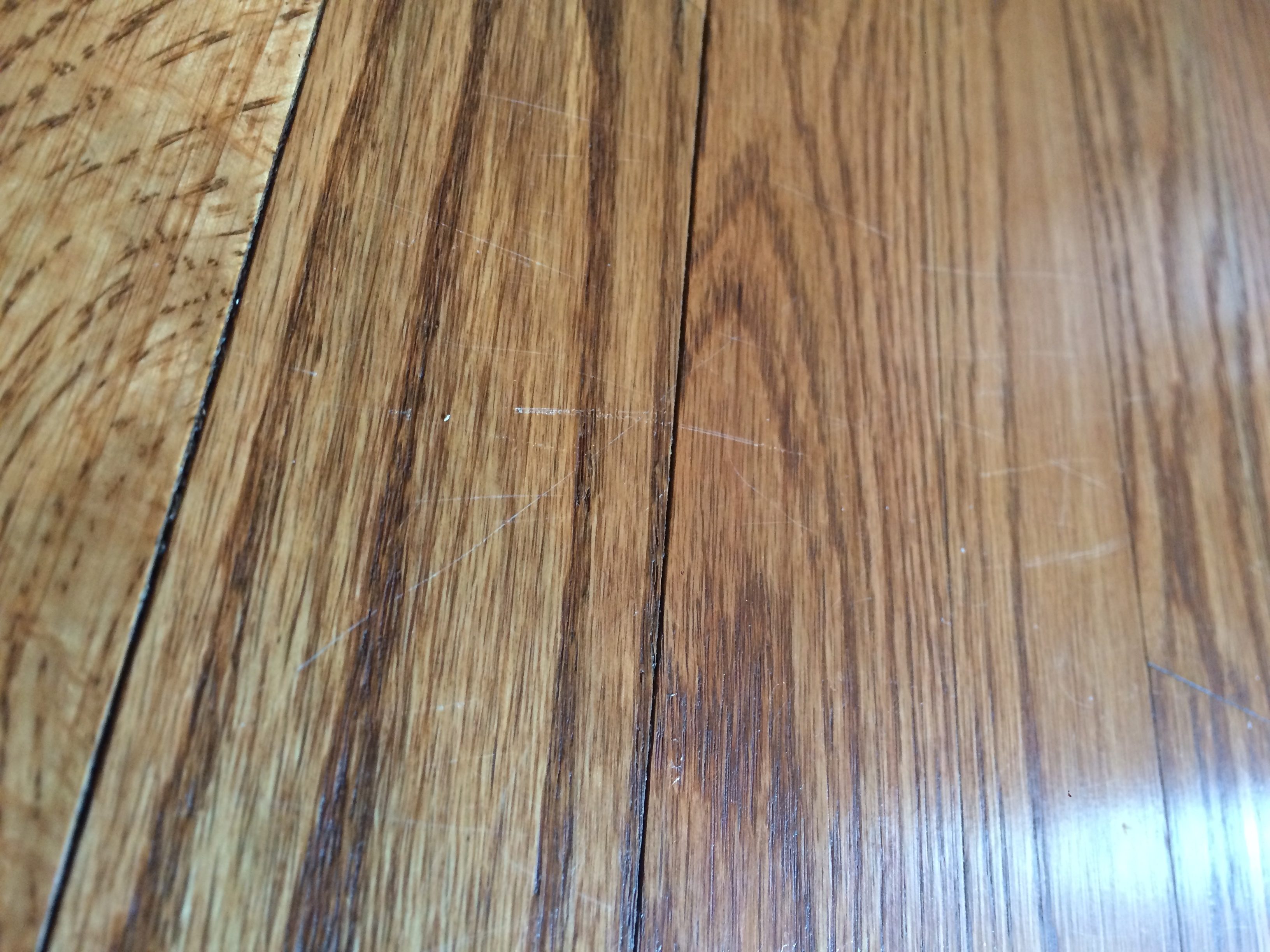 Top 467 Complaints and Reviews about Home Depot Appliances