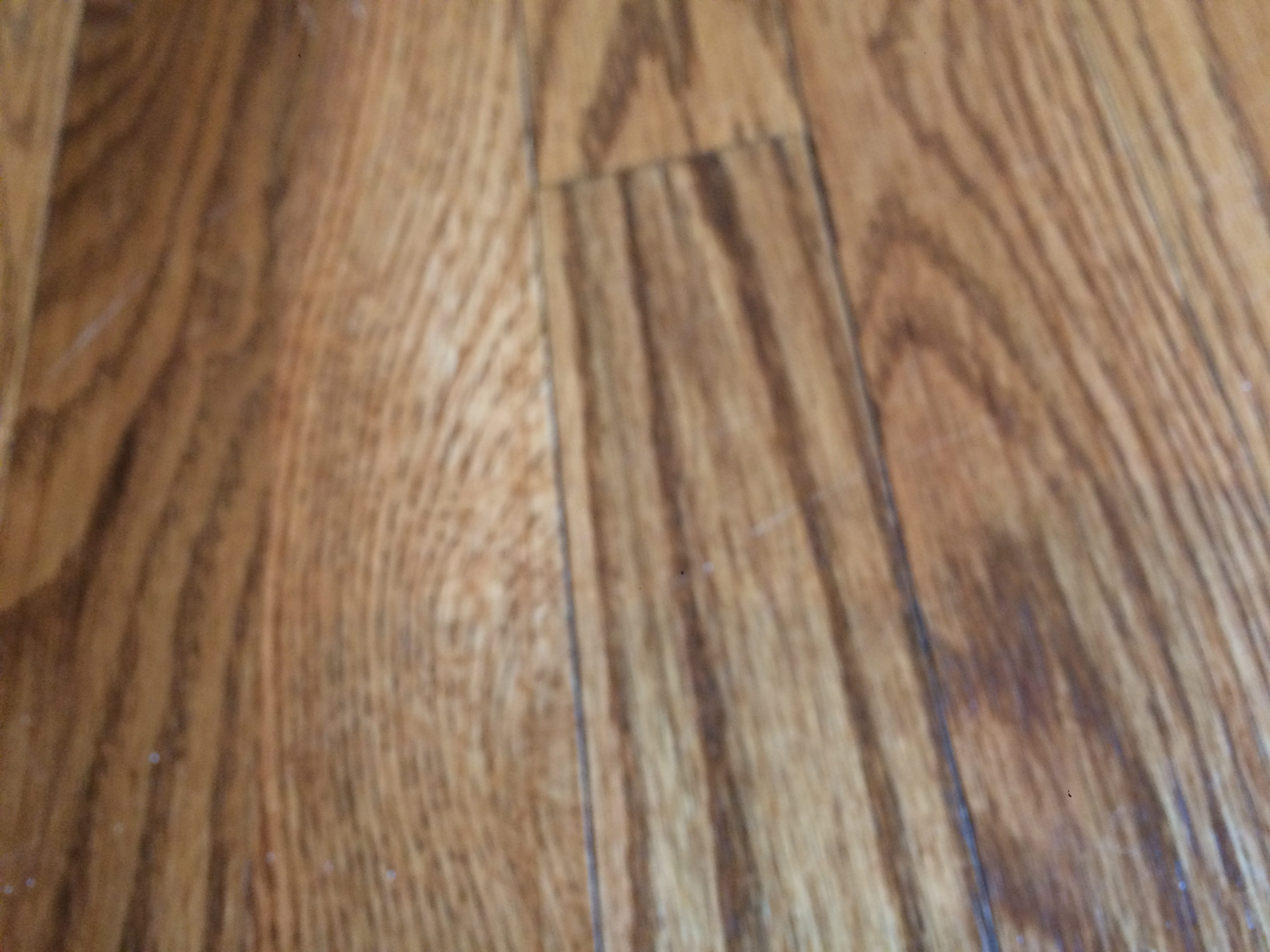 Top 467 Complaints and Reviews about Home Depot Appliances