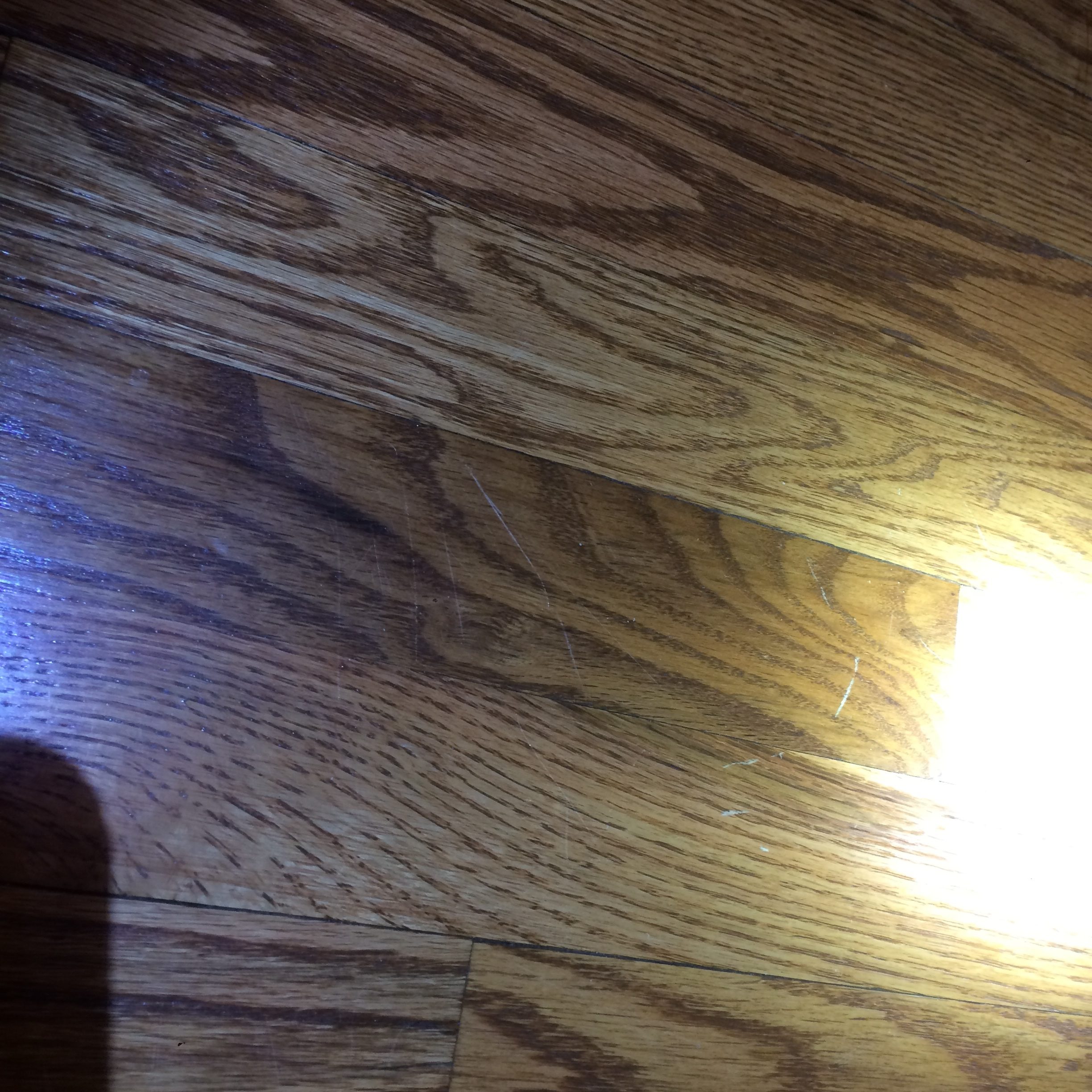 Top 467 Complaints and Reviews about Home Depot Appliances