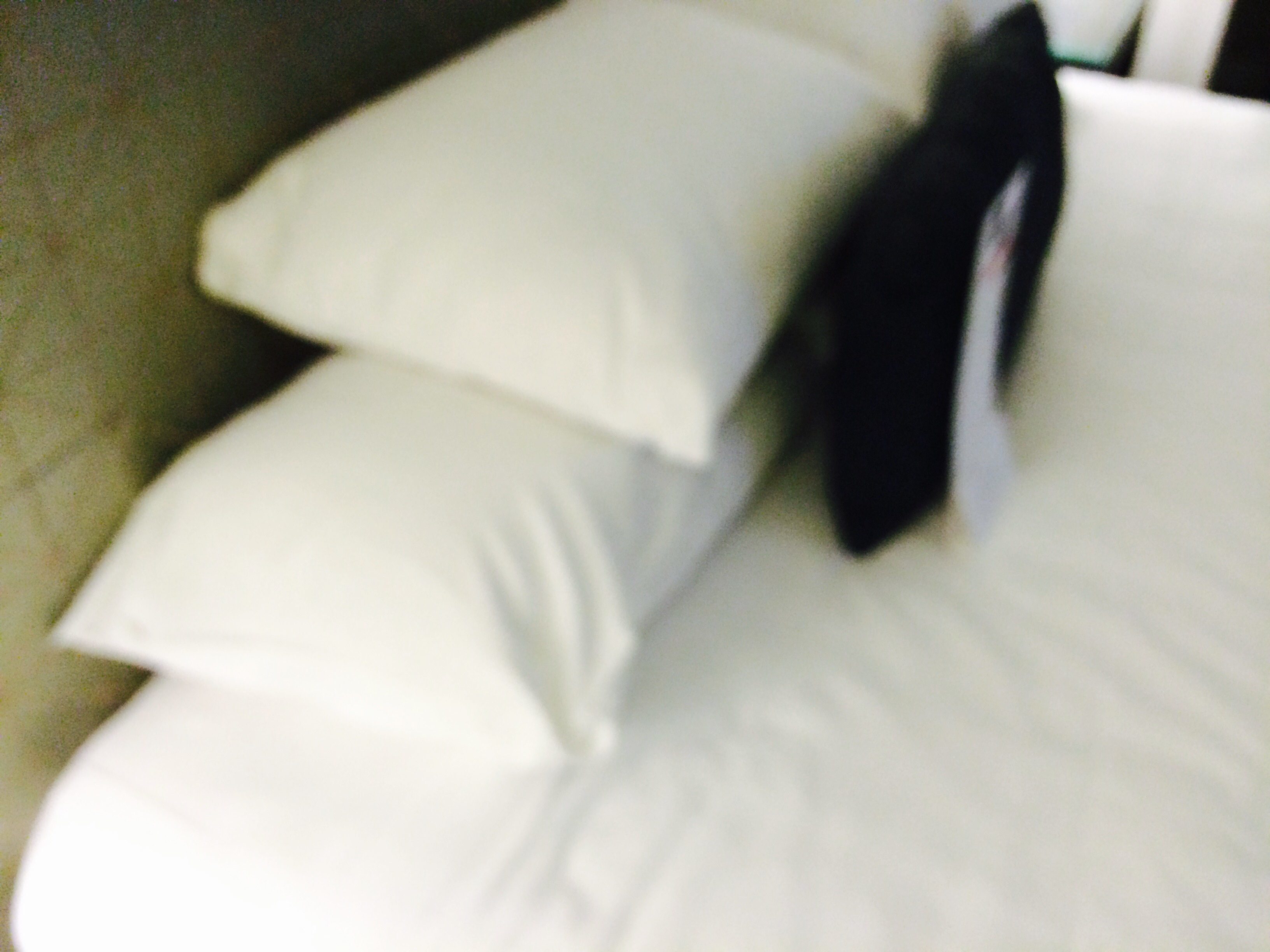 Top 57 Complaints and Reviews about Hyatt Hotels