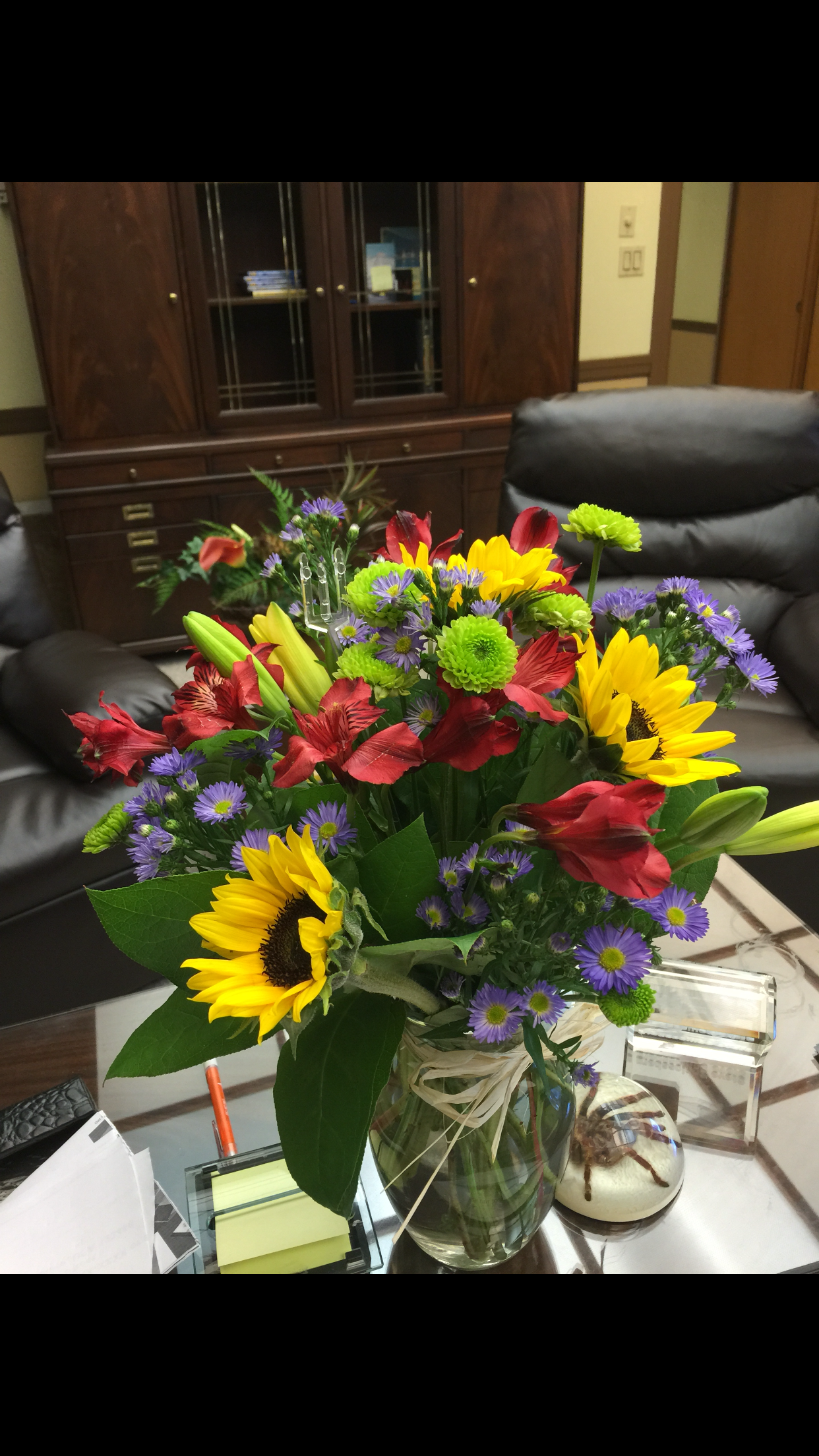 Top 655 Complaints and Reviews about