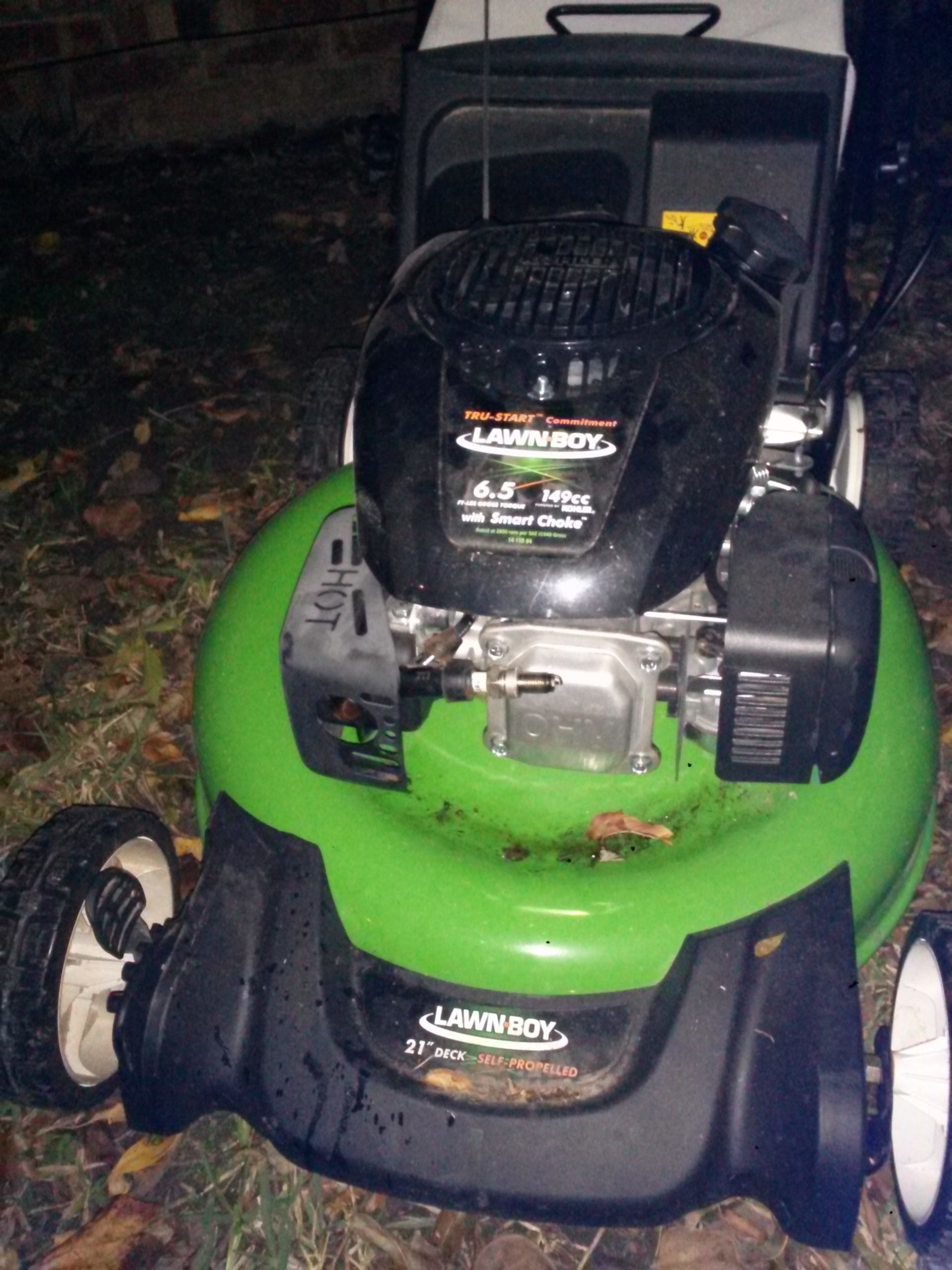 Electric Lawn Mower Motor Problems impremedia