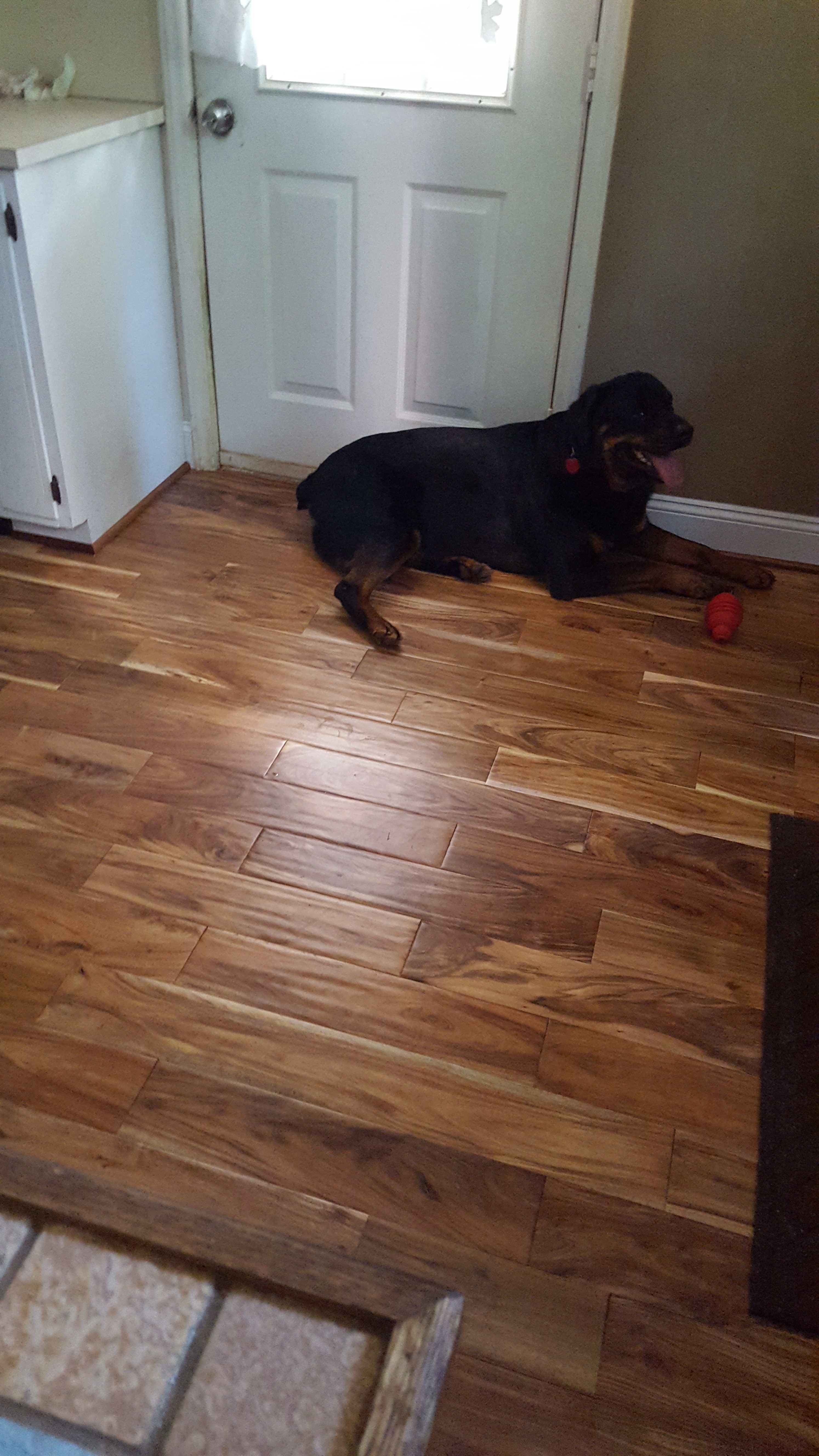 Top 1,296 Reviews and Complaints about Lumber Liquidators