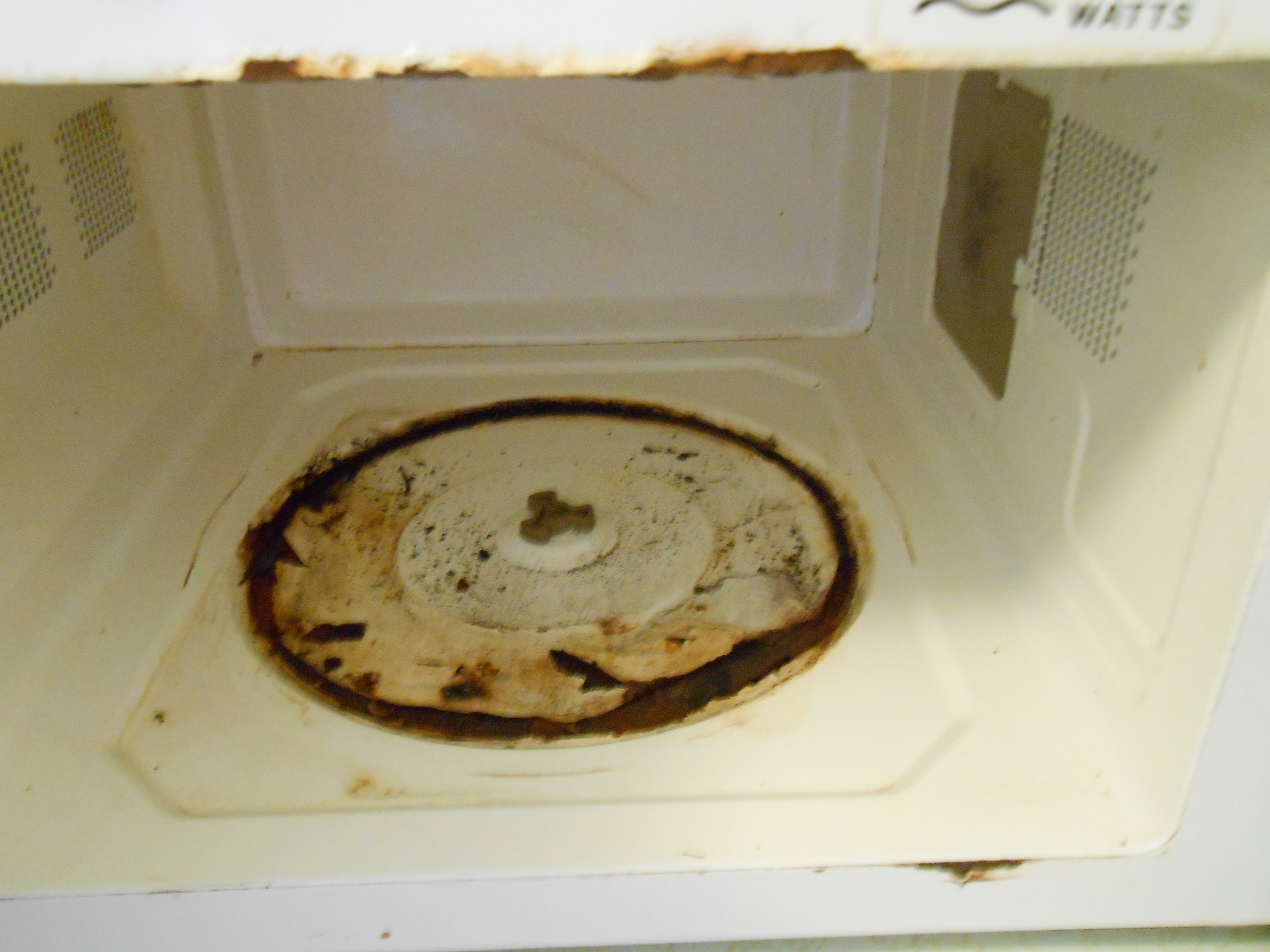 Top 128 Complaints and Reviews about Oster Microwave | Page 2