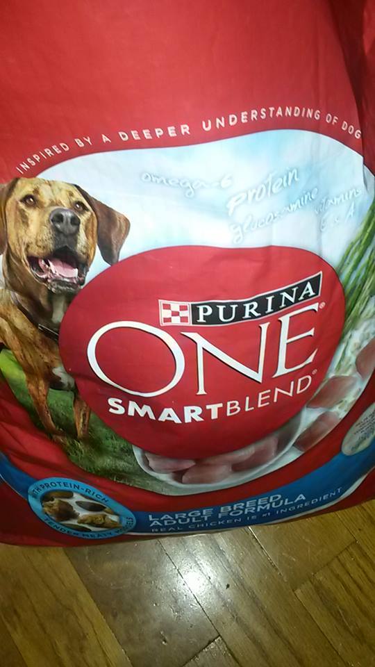 Top 1,273 Reviews and Complaints about Purina Pet Foods Page 5