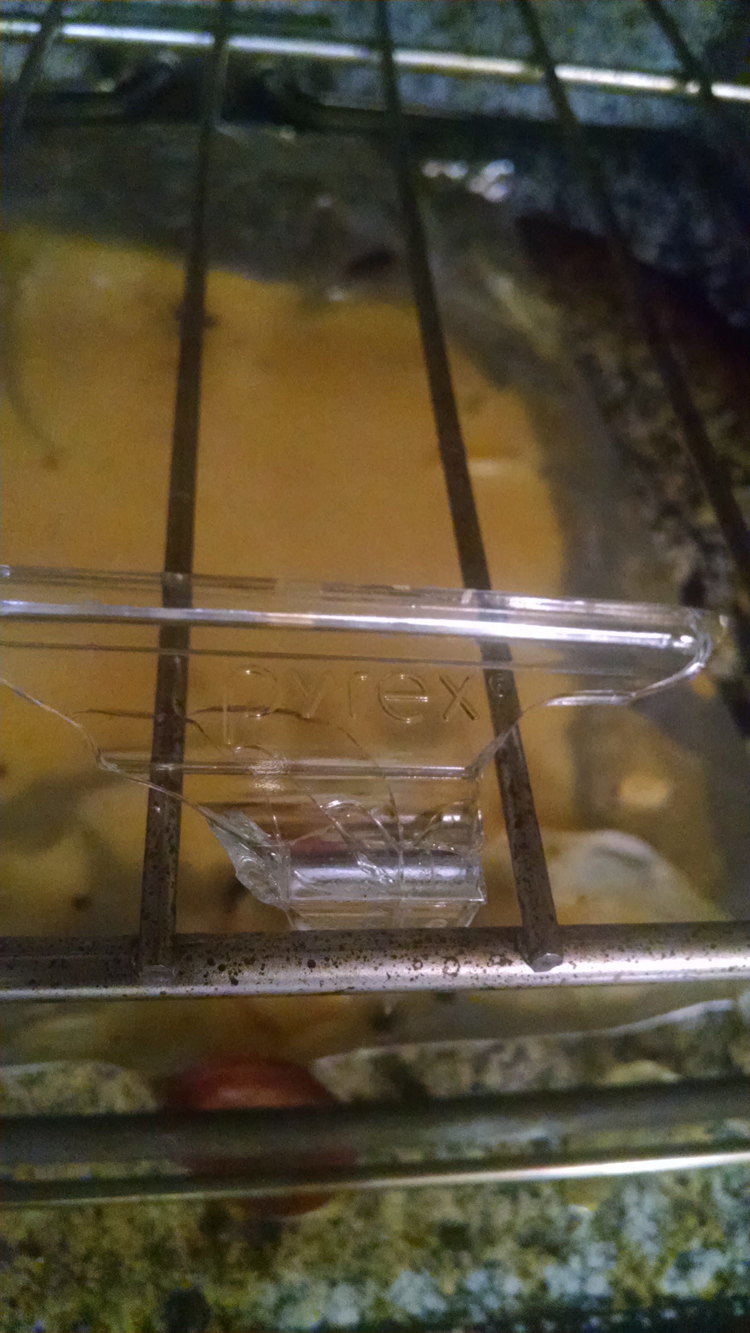 Top 1,590 Complaints and Reviews about Pyrex Cookware Page 8