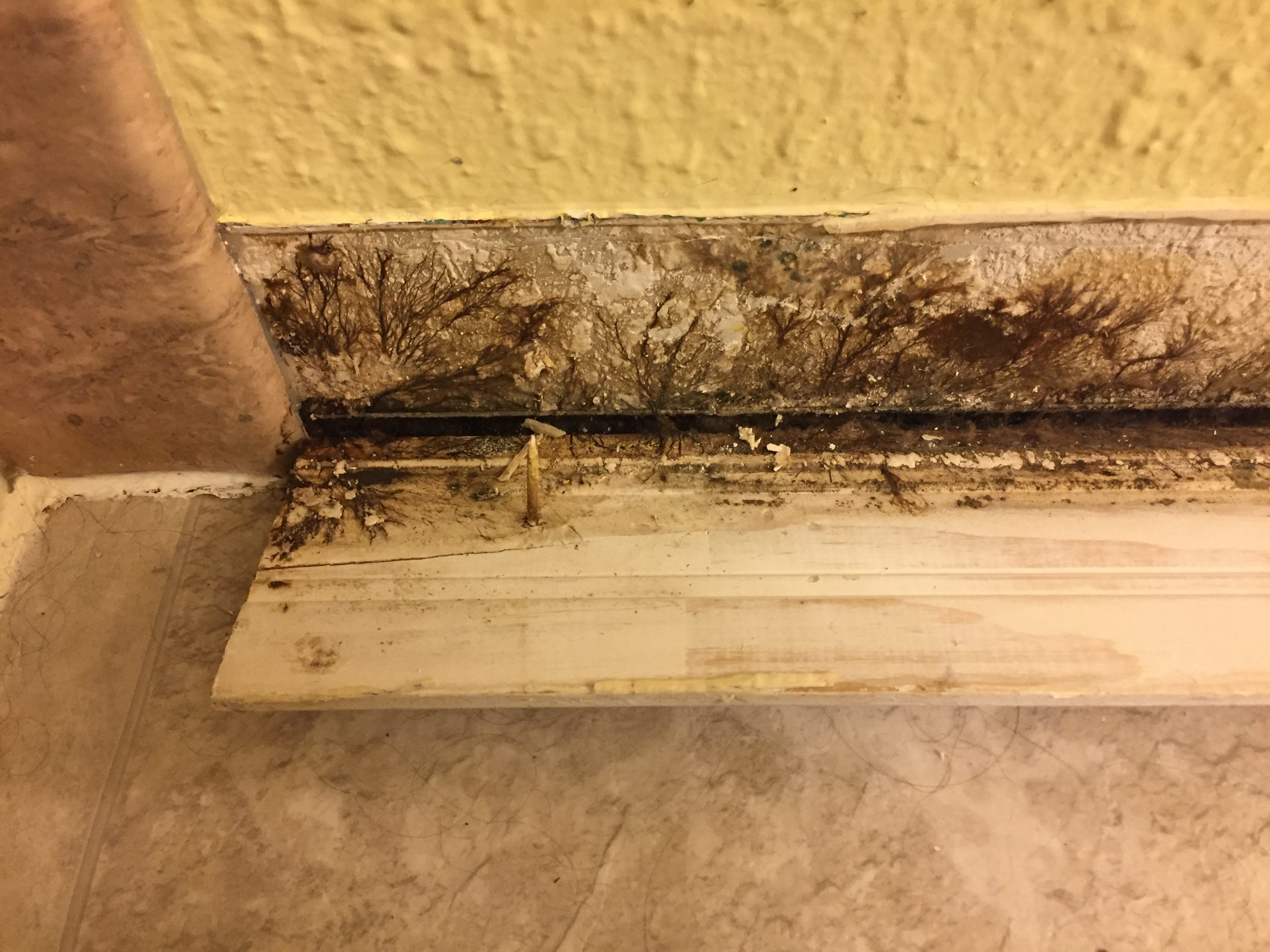 Top 564 Reviews and Complaints about ReBath