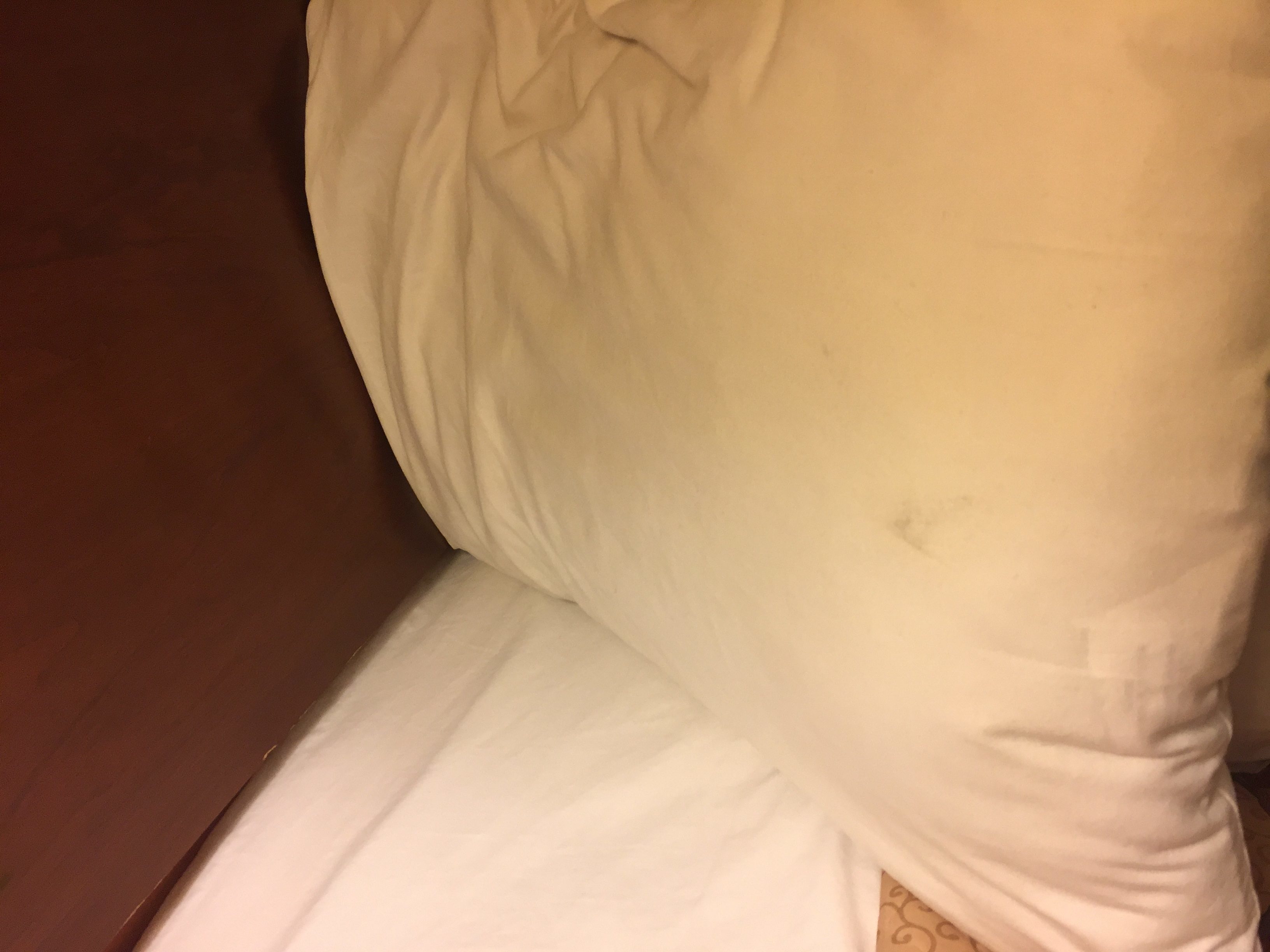 Top 152 Complaints And Reviews About Red Roof Inn