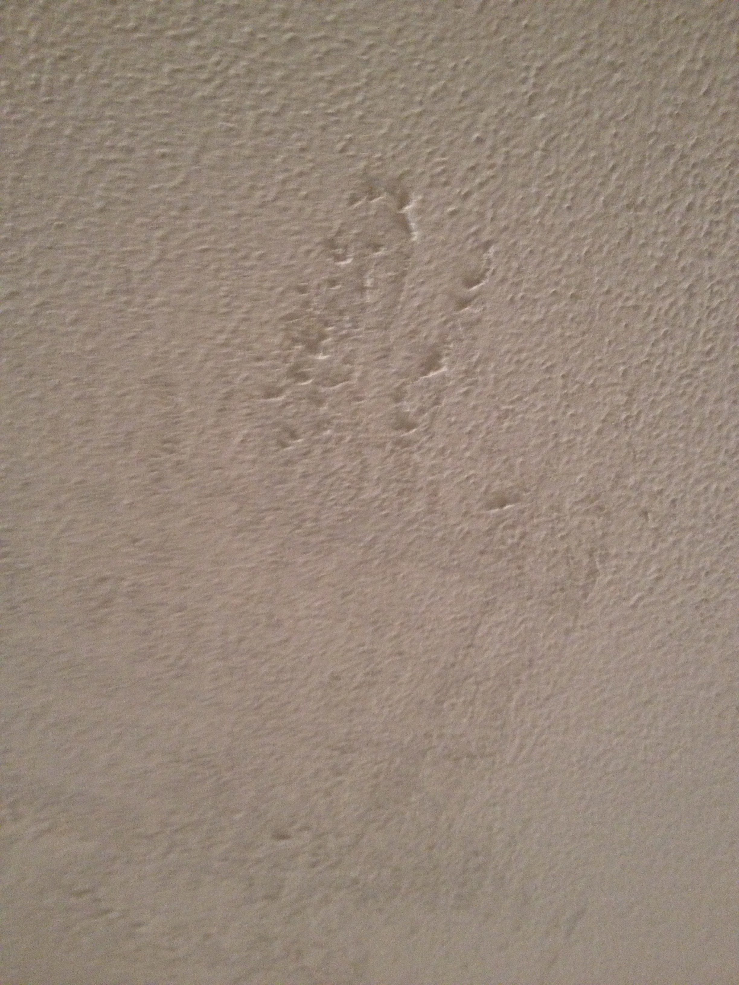 Top 152 Complaints and Reviews about Valspar Page 3