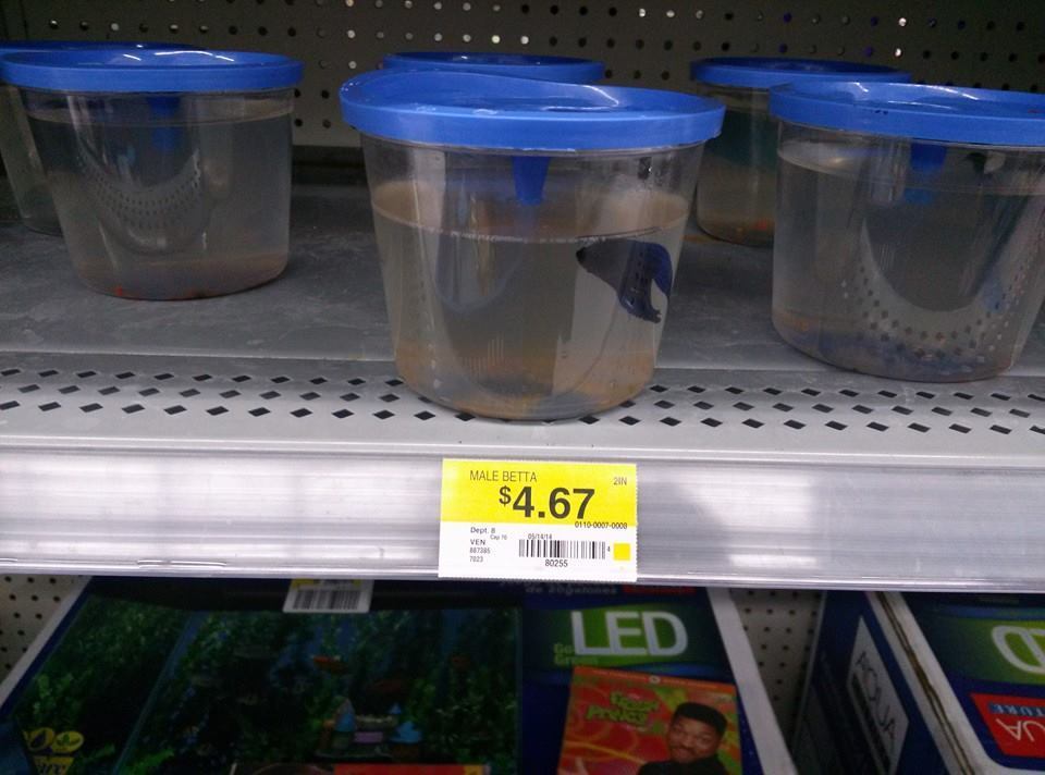 Top 225 Complaints and Reviews about WalMart Pet Department Page 2