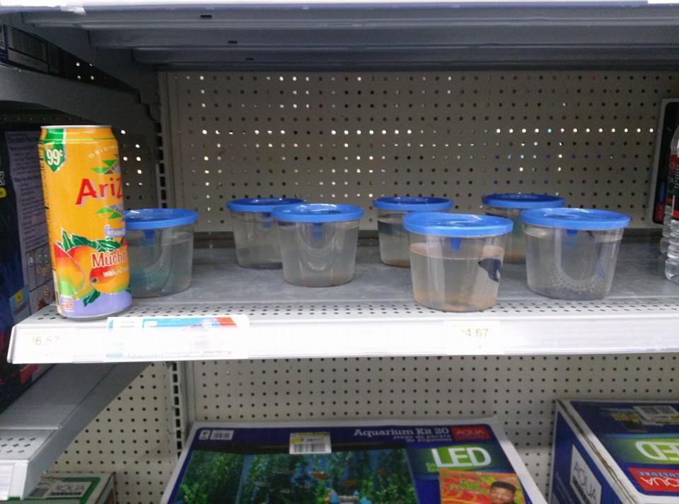 Top 225 Complaints and Reviews about WalMart Pet Department Page 2