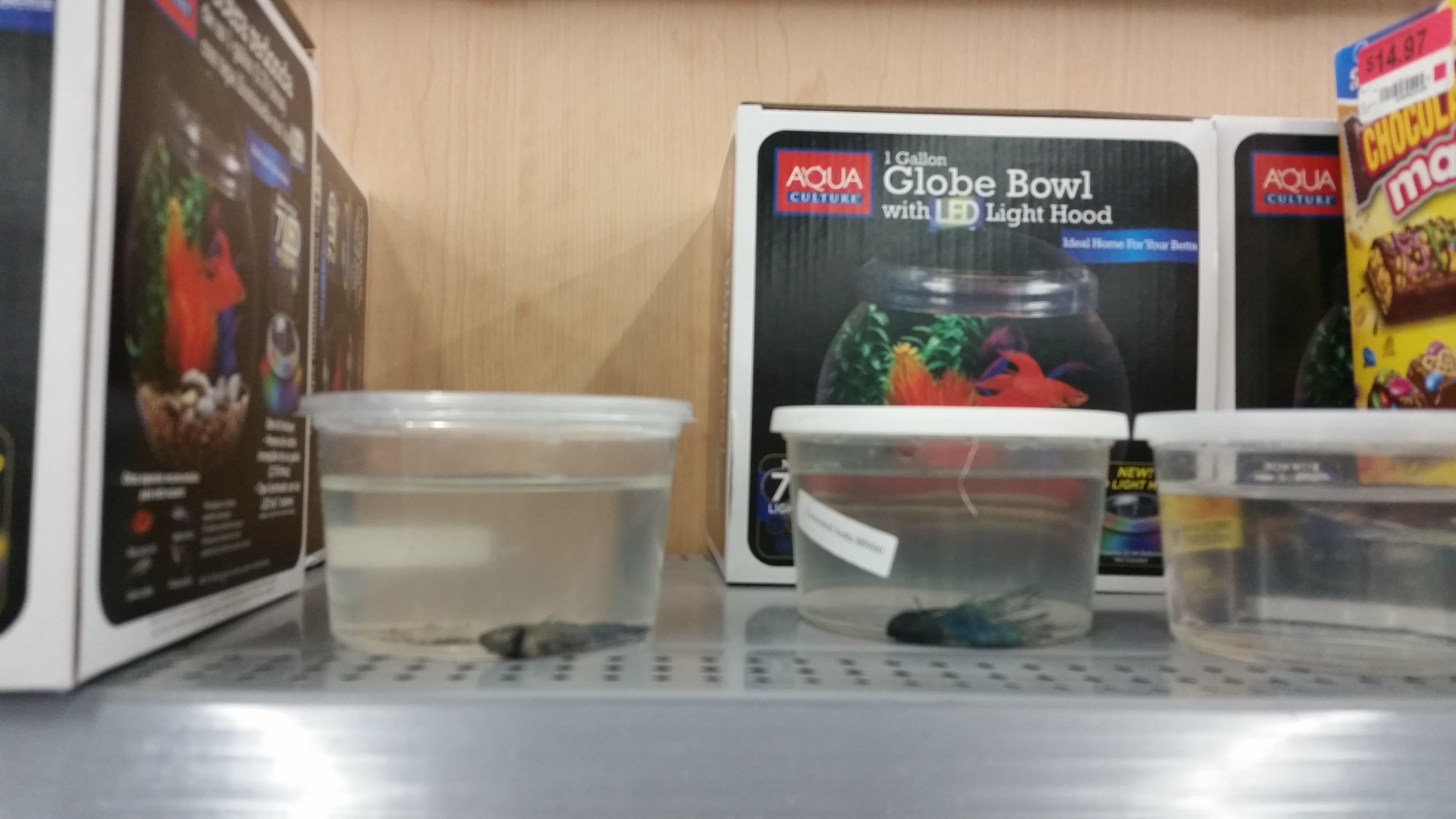 Top 209 Complaints and Reviews about WalMart Pet Department