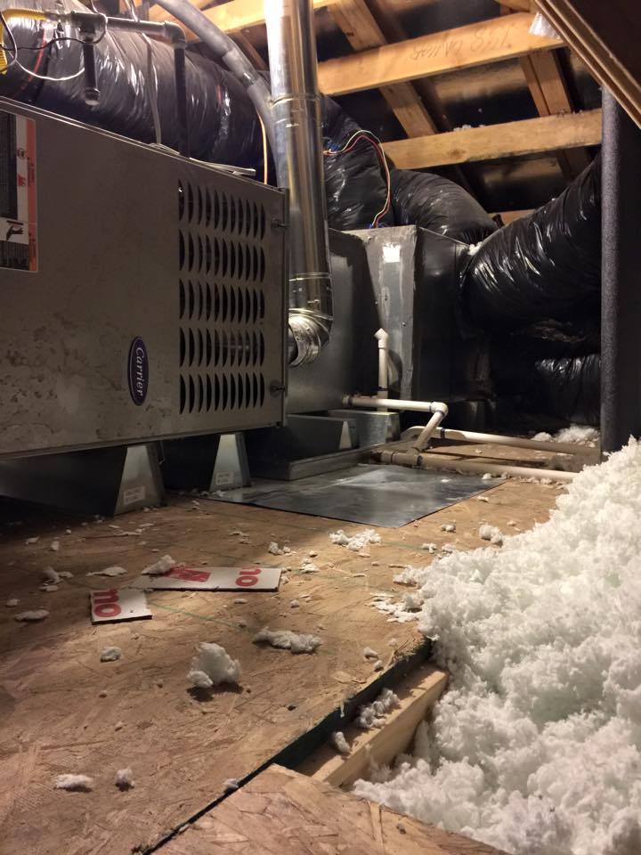 Top 61 Complaints and Reviews about Woodside Homes