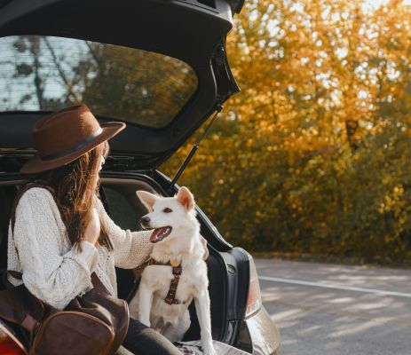 Get a certified ESA letter