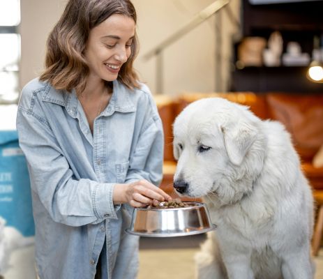 Find the right pet food