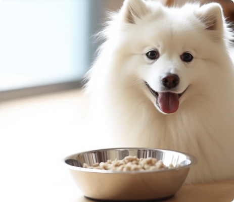 Find the right pet food