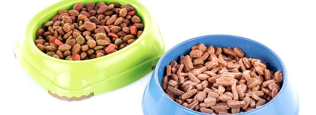 Best Cat Food Brands + Verified Reviews | ConsumerAffairs