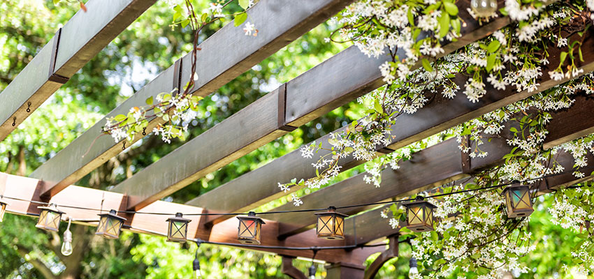 pergola