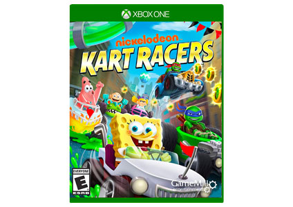kart Racers video game